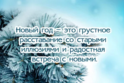 Картинки новогодняя елка летом прикольные (67 фото) » Картинки и статусы  про окружающий мир вокруг