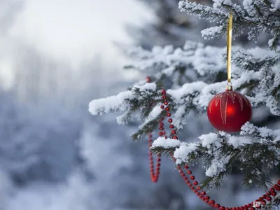 Уютные новогодние обои 2021 | Рождественские идеи, Новогодние елочные  украшения, Елочные украшения