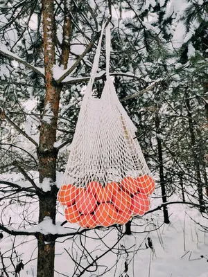 Новогодние окна «На прогулку, в зимний лес» (7 фото). Воспитателям детских  садов, школьным учителям и педагогам - Маам.ру