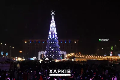 В Южно-Сахалинске приступили к уборке новогодних елок - SakhalinMedia