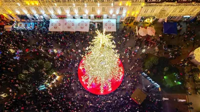 Торжественное открытие новогодних елок в Киеве: список адресов |  Строительный портал BuildPortal