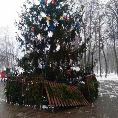 Пластиковые прозрачные елочные шары с новогодними композициями внутри  (Набор 12 шт): продажа, цена в Алматы. Новогодние игрушки и украшения от  "FITSHOP-Магазин для всей семьи!" - 57711740