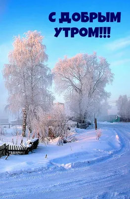 Красивые зимние картинки "Доброе утро!" (700 шт.)