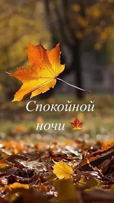 Картинки: "Спокойной ночи!" (4169 шт.)