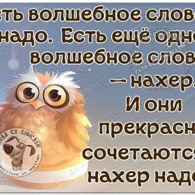 Пин от пользователя Дилья на доске Статусы | Новые цитаты, Оригинальные  цитаты, Вдохновляющие цитаты