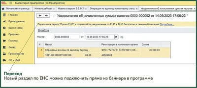 Тест-драйв нового раздела ЕНС в 1С: удобно, но ждем доработок – Упрощёнка №  10, Октябрь 2023