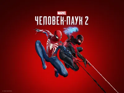 Фигурка Человек-Паук — Hot Toys MMS658 Amazing Spider-Man 2 1/6 - купить в  