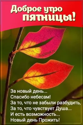 Картинка: Прекрасный этот новый день пусть для тебя удачным станет.