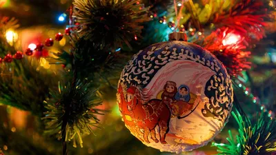 Хокимият рассказал, где в Ташкенте установят большие елки и будут  праздновать Новый год : 