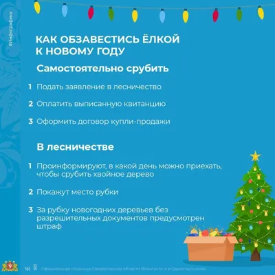 Новогодний концерт: “Новый Год с новой строчки” | Новости Советска - Портал  города Советска и района