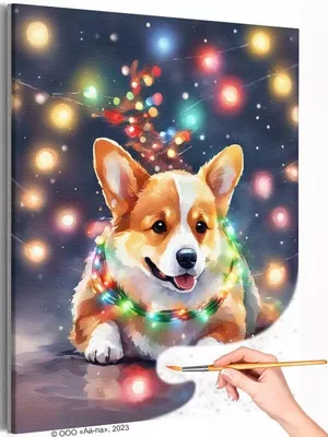 Живопись по номерам Корги с яркими огнями Животные Собака Новый год