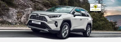 Новый Toyota RAV4 стали выпускать под брендом Suzuki — Motor