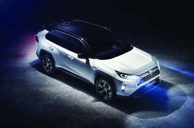 Названы сроки появления в России новой Toyota RAV4 — Motor