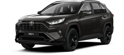 Toyota RAV4 перешел в новый модельный год и немного прибавил в цене -  Российская газета