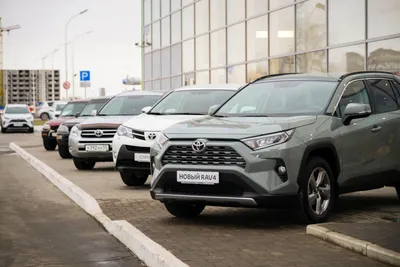 Новый Toyota RAV4 для России — первые подробности