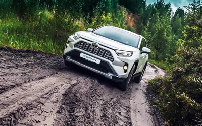 Представлен Toyota RAV4 2024. Что нового?