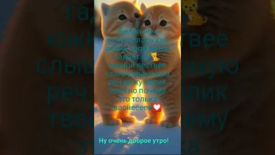 Доброе утро! 😹 хрустальный шарик в …» — создано в Шедевруме