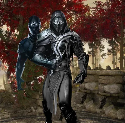 Noob Saibot :: MK Fighters :: Mortal Kombat :: сообщество фанатов /  картинки, гифки, прикольные комиксы, интересные статьи по теме.