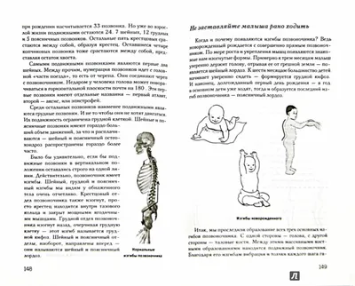 Плакат позвоночник анатомия и патология (45 фото) » Рисунки для срисовки и  не только