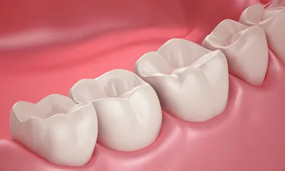 Раз, два, три? Как ведется нумерация зубов в стоматологии