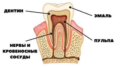 Имплантация и протезирование при наличии сверхкомплектных зубов