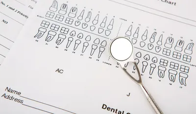 Зубная формула взрослого человека и у детей