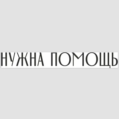 Ребята, мне очень нужна помощь машиной по разным направлениям. СПБ. |  Animalrescueed | Дзен