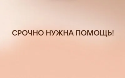 Срочно и очень нужна помощь – новости Армавира и Краснодарского края –  Армавирский собеседник