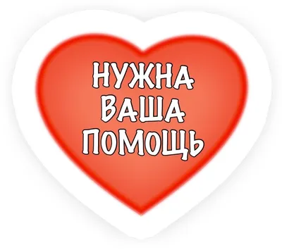 Вадиму Рудченко из Усть-Лабинского района нужна помощь! – Информационный  портал "Лаб-Медиа"