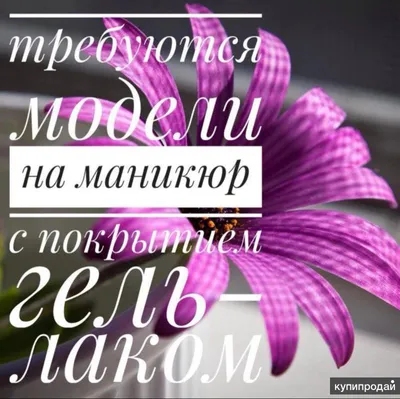 МАНИКЮР▪️НАРАЩИВАНИЕ▪️ОБУЧЕНИЕ в Instagram: «🌸Девочки!🌸 Срочно нужны  модели на аппаратный маникюр! ☝️Для работающих мастеров на повышени… |  Маникюр, Гвоздь, Ногти