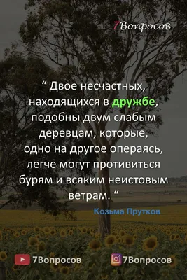 Дружат не мужчина и женщина, а человек и человек». Психолог — о детских  мифах, здоровой помощи и настоящей дружбе - Мослента