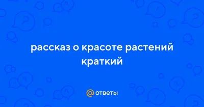 дня отдыха. Как провести