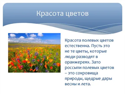 Красота растений Урала - 76 фото