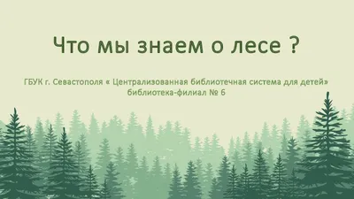 Администрация ГО "Город Калининград". Забота о лесе – наша общая обязанность