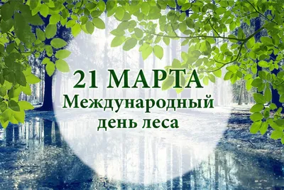 Лес - место гармонии и умиротворения» — создано в Шедевруме