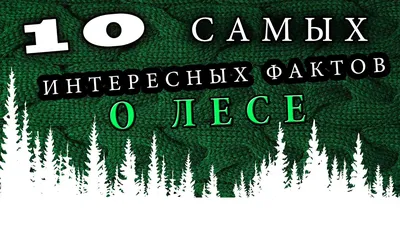 Обои Сага о Лесе Lun2 020, коллекция Сага. Стиль: Модерн, Цвет: фиолетовый  красный