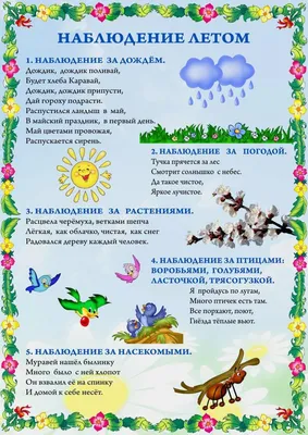 РЕКОМЕНДАЦИИ РОДИТЕЛЯМ НА ЛЕТО В ДЕТСКОМ САДУ: ПОДРОБНО О ЗДОРОВЬЕ И  БЕЗОПАСНОСТИ ДЕТЕЙ ЗДОРОВЬЕ .БЕЗОПАСНОСТЬ РЕБЕНКА . | Детский сад №95  «Звоночек»