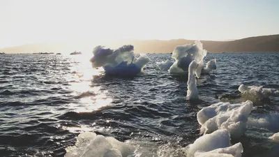 Я нашёл в тебе море любви! | ХИЖИНА ПОЭТА | Дзен