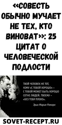 Совесть обычно мучает не тех, кто виноват»: 25 цитат о человеческой подлости  | Цитаты, Психология, Мысли