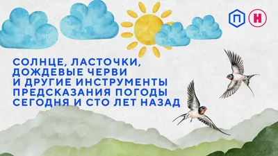 Яндекс рассказал о погоде в Ростове на выходные | 