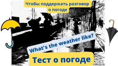 Теперь каждый сможет узнать самую свежую информацию о погоде в приложении  ILM+ |Keskkonnaagentuuri lennumeteoroloogiline informatsioon