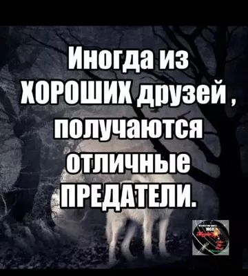 Цитаты из книги «Если предал любимый человек…» Ярославы Лим📚 — лучшие  афоризмы, высказывания и крылатые фразы — MyBook.