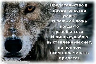 Бросил семью: жена Макарского заговорила о предательстве любимого мужчины