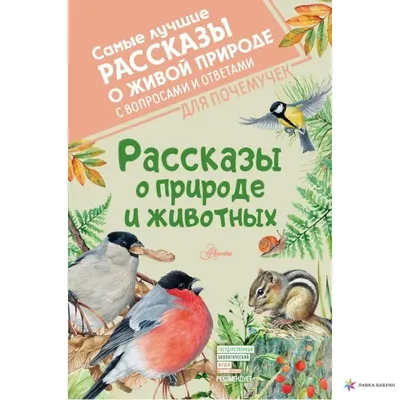 Жители Кировской области могут получить приз за лучшее фото о природе »  ГТРК Вятка - новости Кирова и Кировской области