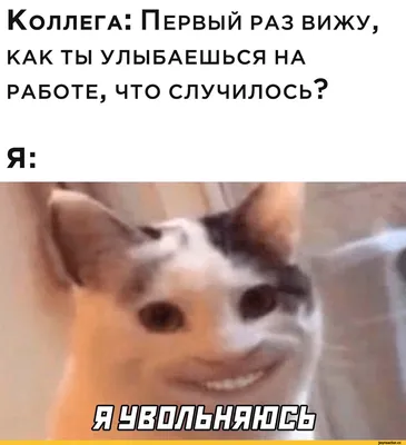 Коллега: Первый раз вижу, КАК ТЫ УЛЫБАЕШЬСЯ НА РАБОТЕ, ЧТО СЛУЧИЛОСЬ? Я: /  увольнение :: работа :: Буквы на белом фоне :: Мемы (Мемосы, мемасы,  мемосики, мемесы) :: котэ (прикольные картинки с