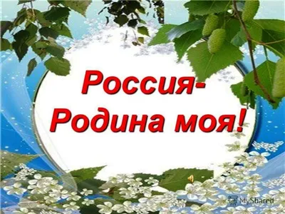 Лэпбук «Моя Родина — Россия» (19 фото). Воспитателям детских садов,  школьным учителям и педагогам - Маам.ру