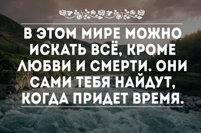 Философы о смысле жизни: известные мудрые высказывания