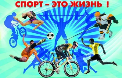 Спорт, питание и женское здоровье | Доктор Елена Березовская