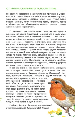 Занятие по ознакомлению с окружающим миром на тему «Птицы весной» (1 фото).  Воспитателям детских садов, школьным учителям и педагогам - Маам.ру