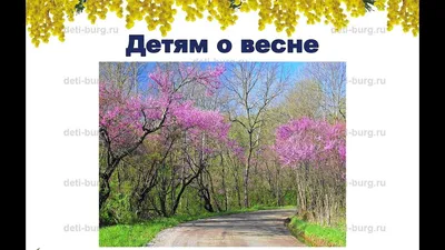 Подборка лучших песен о весне из советских фильмов | Максим. | Дзен